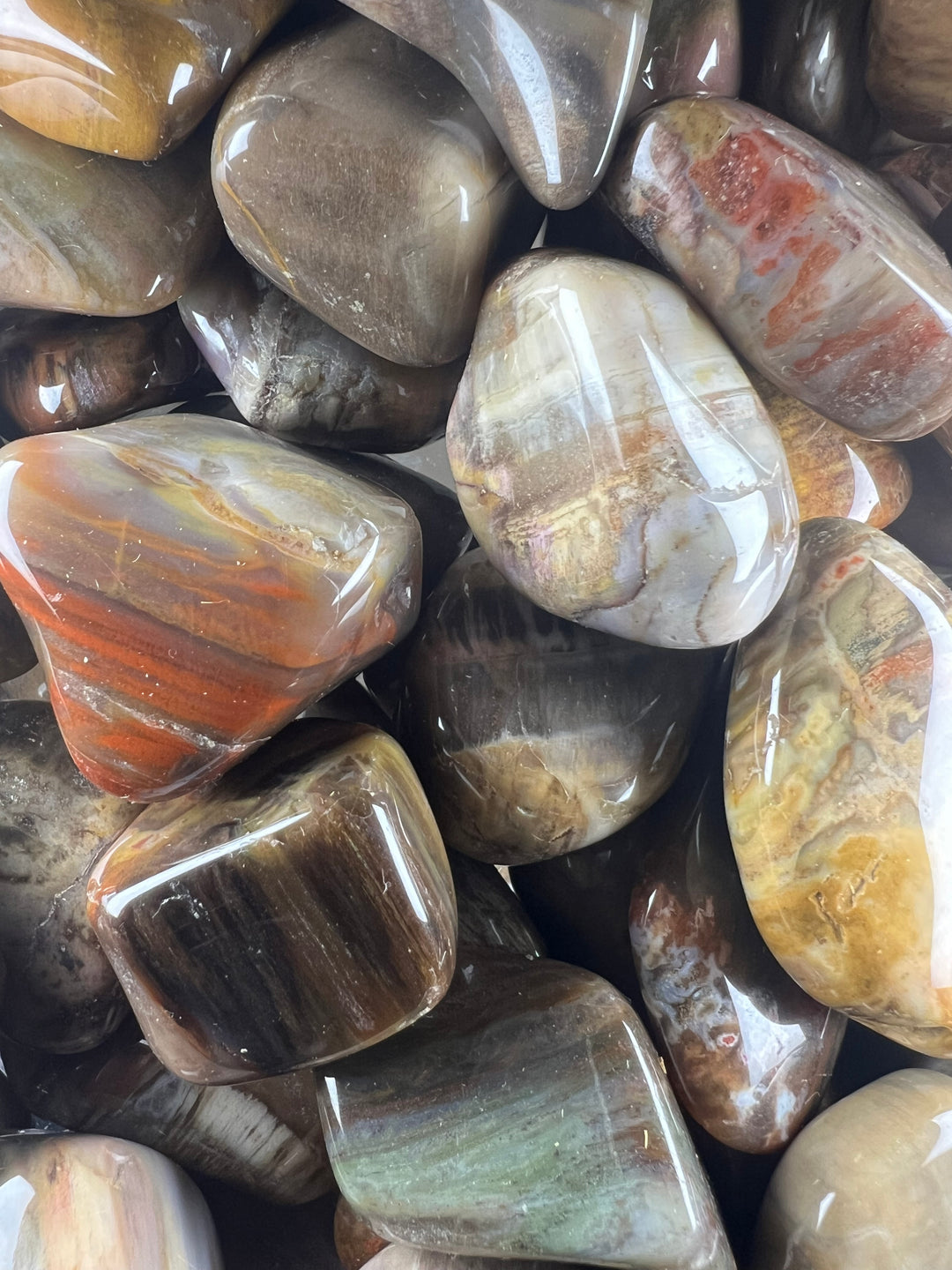 Versteinertes Holz Trommelstein – Erdung, Stabilität & tiefe Naturkraft  A+ Qualität | ca. 20–35 mm | 10–25 g | Handverlesen & poliert