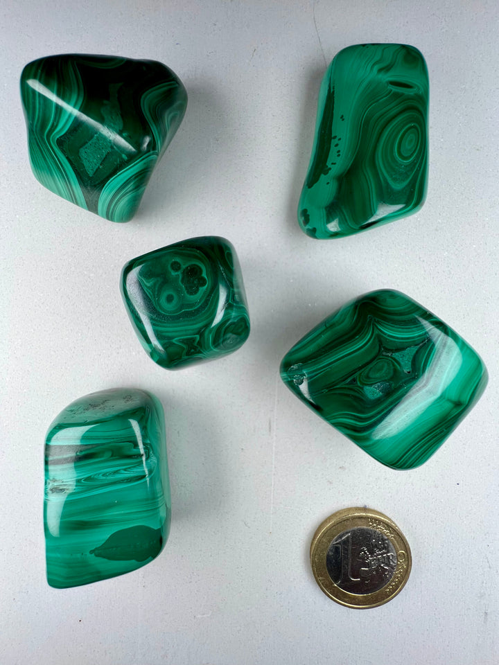 Malachit Trommelstein – Transformation & Herzenergie zum Mitnehmen (A Qualität, ca. 20 – 30 mm | 10 – 50 g)
